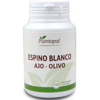 ESPINO BLANCO-AJO-OL...