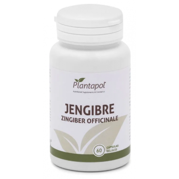 Jengibre Plantapol