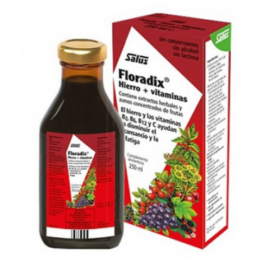 Floradix Jarabe 500 ml