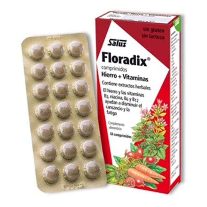 FLORADIX HIERRO + VITAMINAS comprimidos