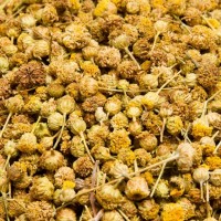 MANZANILLA DULCE A G...